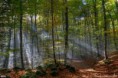 /album/fotogaleria/images-6-jpg/
